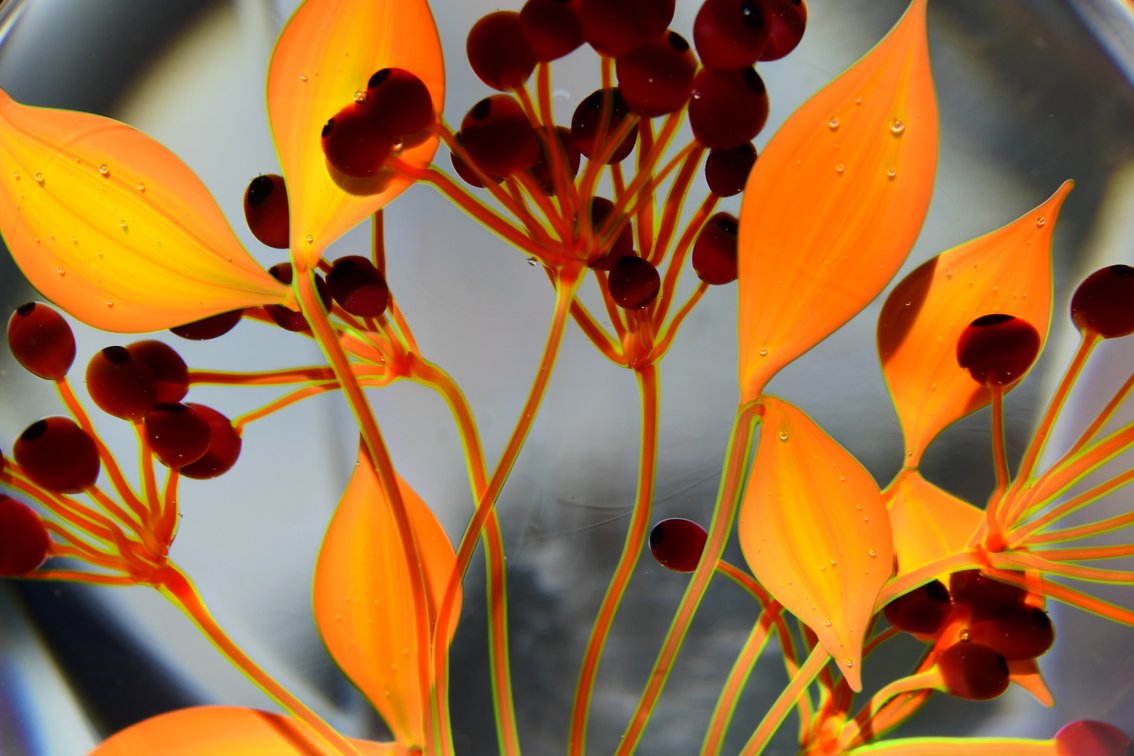 Paul Stankard Orange Fruiting Branch