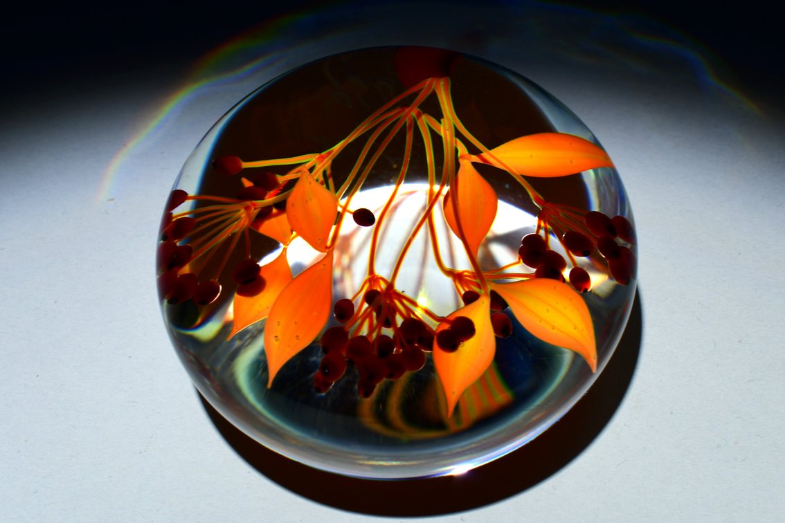 Paul Stankard Orange Fruiting Branch