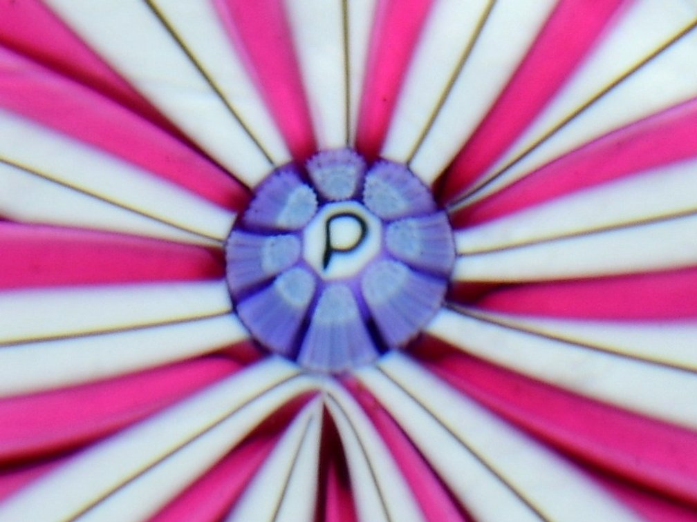 Perthshire Faceted Dahlia Flower 1985