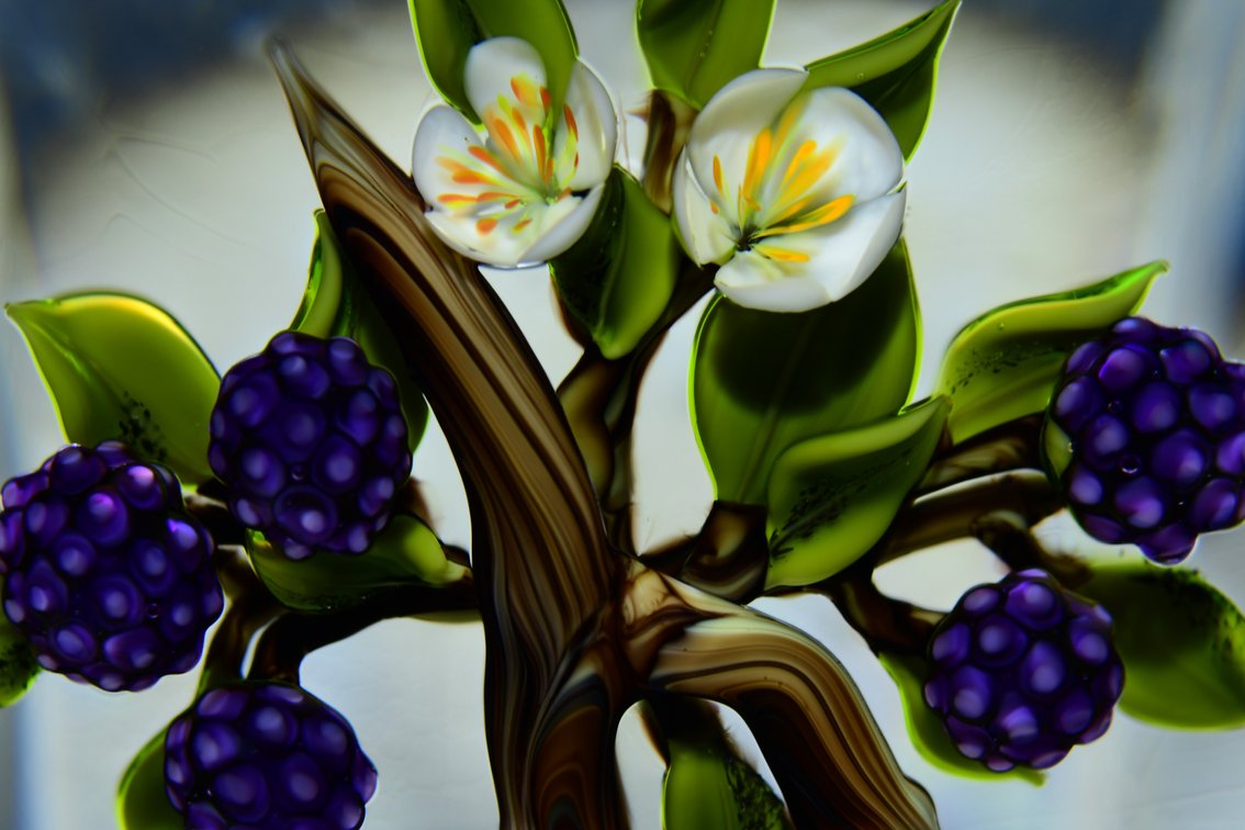 Trabucco Blackberry Branch Motif 1995