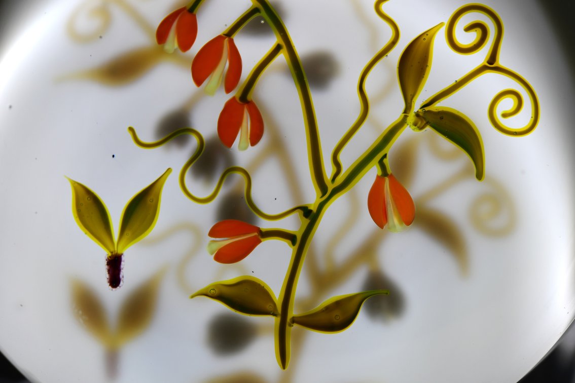Paul Stankard Floral Vine Lampwork 1975