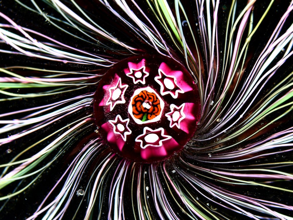 Perthshire Jack Allen Crown Swirl