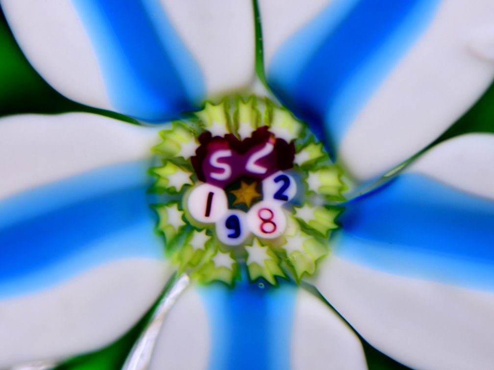 St. Louis Clematis Lampwork 1982