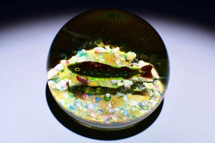 Paul Ysart Lampwork Fish