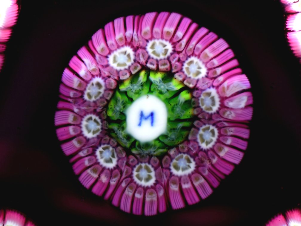 Perthshire Pentagonal Millefiori Garland 1981