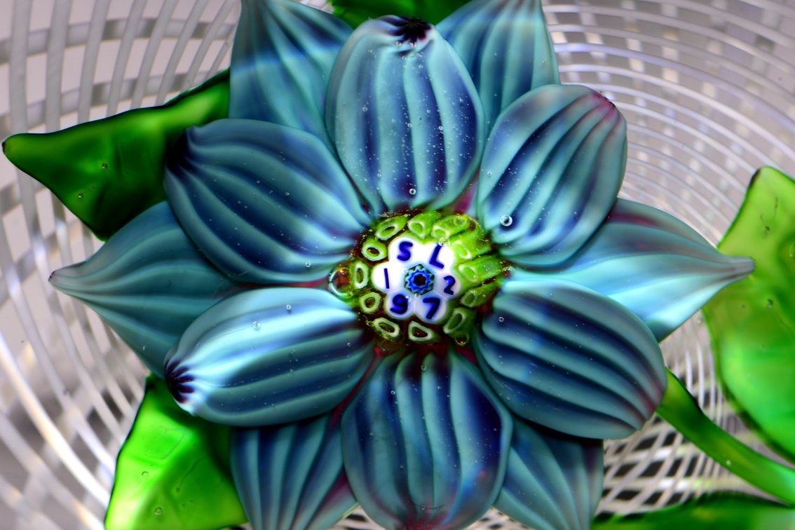 St. Louis Double Clematis Lampwork 1972