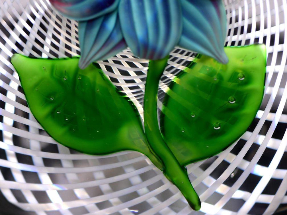 St. Louis Double Clematis Lampwork 1972