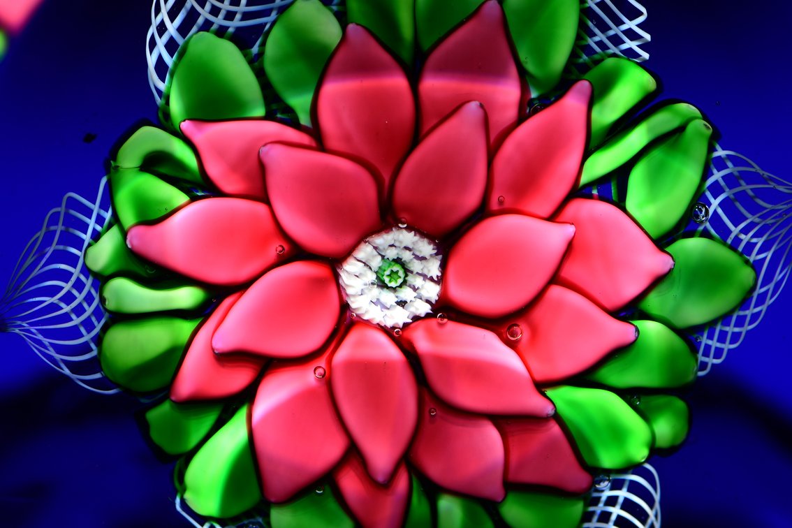 St. Louis Poinsettia Lampwork 1980