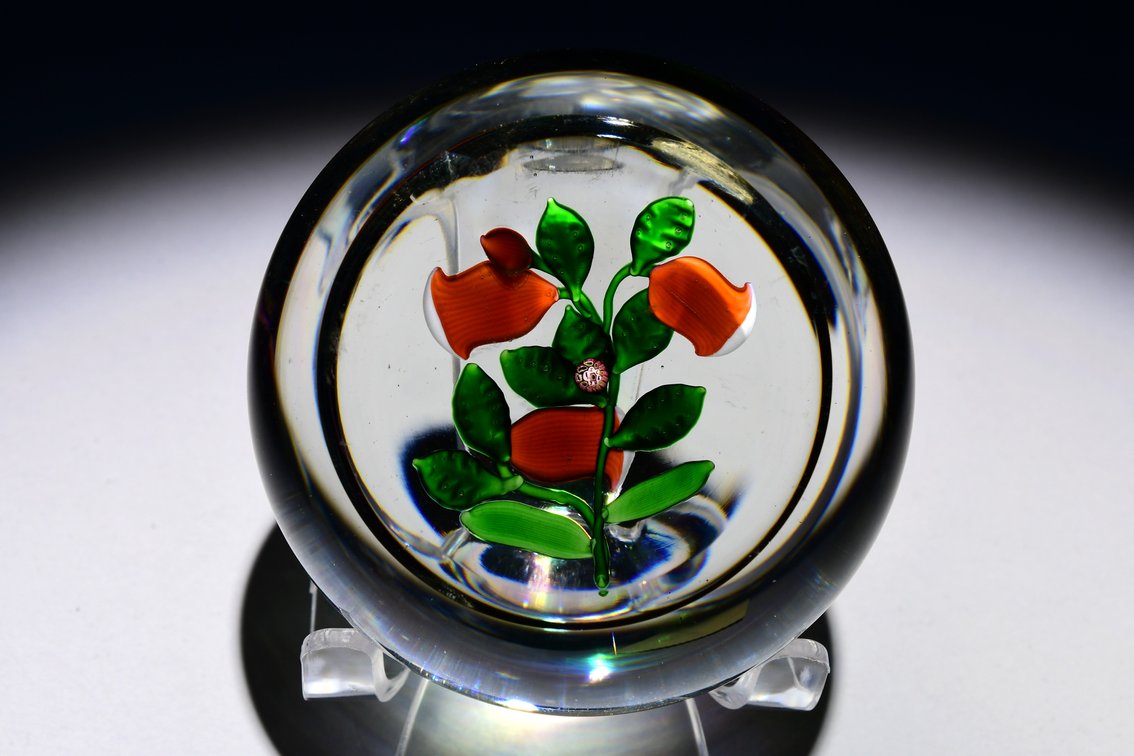 St. Louis Bell/Trumpet Flowers 1986
