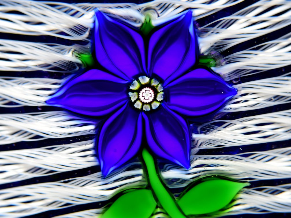 Perthshire Blue Lampwork Clematis 1981
