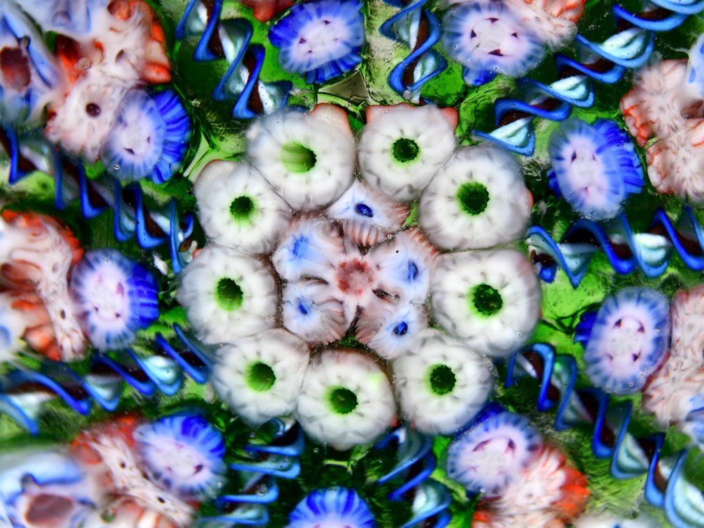Perthshire Radial Spoke Millefiori