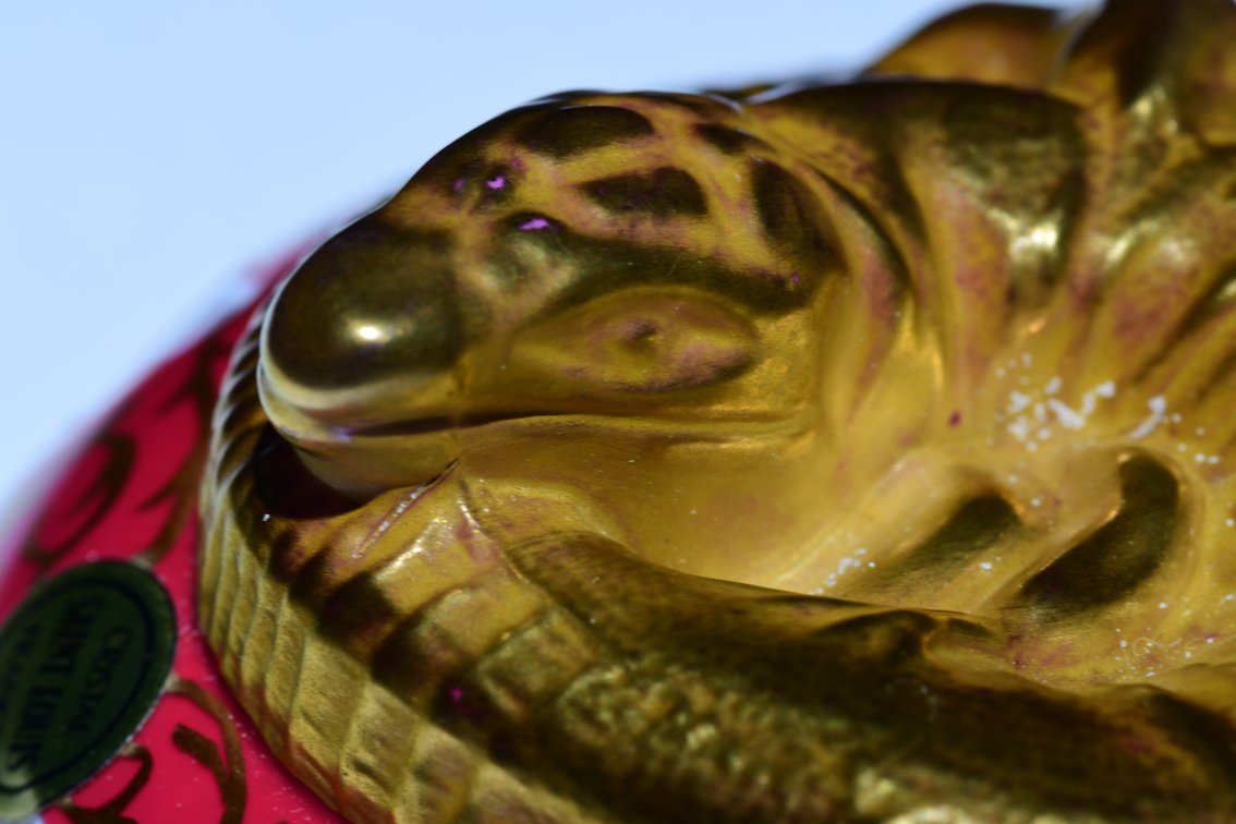 St. Louis Gilded Coiled Lizard 1980