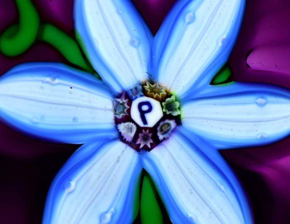 Perthshire Floral Lampwork Faceted Overlay
