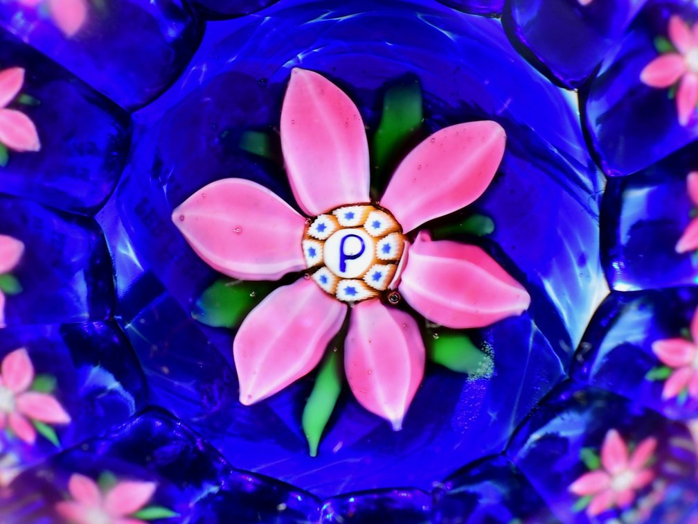 Perthshire Faceted Floral Shot Glass