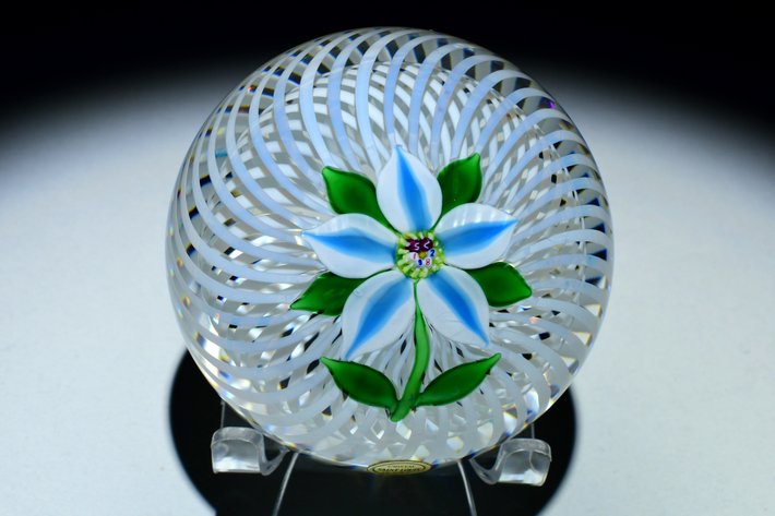 St. Louis Clematis Lampwork 1982