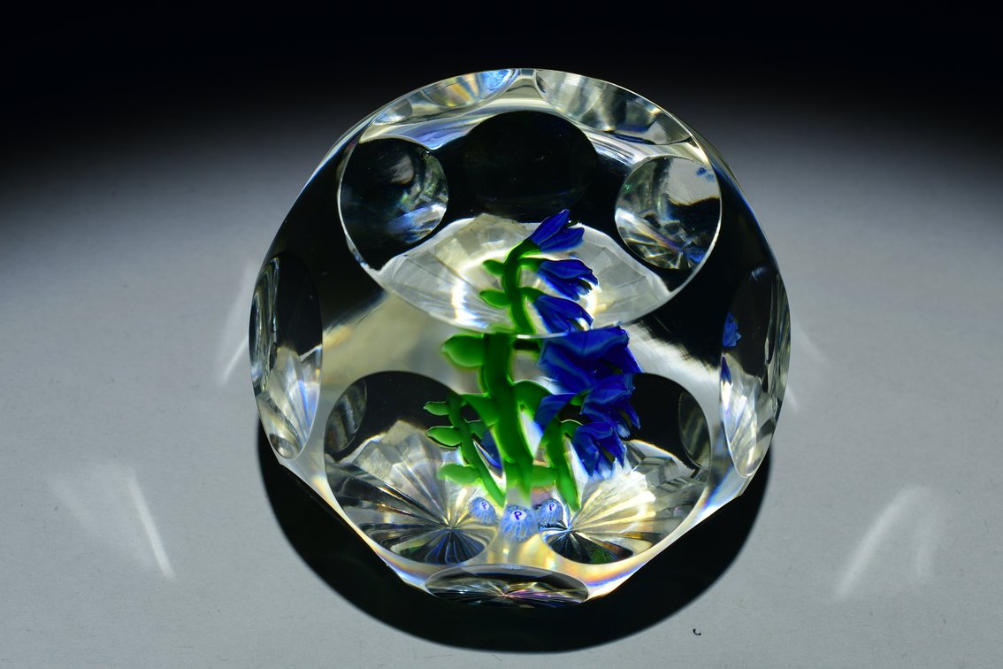 Perthshire Bluebell Blossom 1978