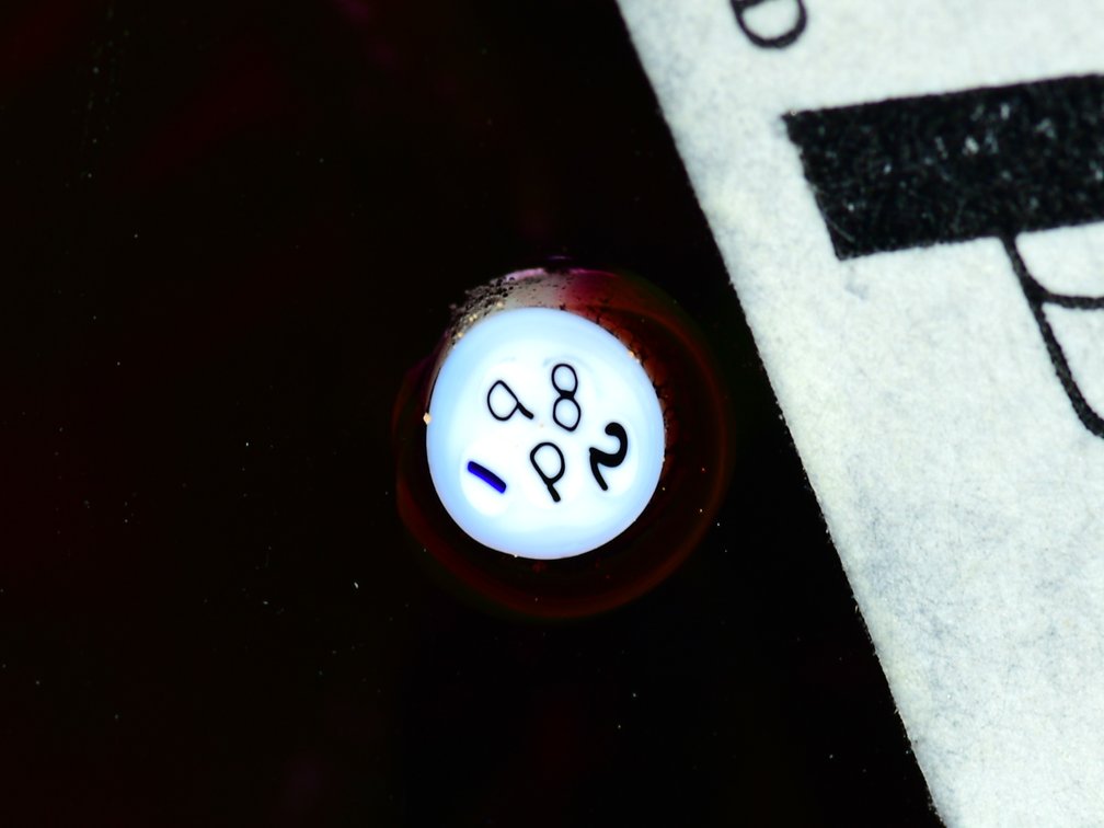Perthshire Pom-Pom Ruby Overlay 1982