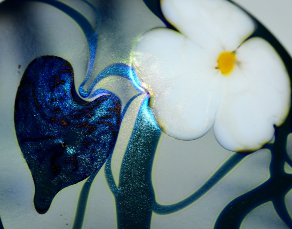Charles Lotton Iridescent Floral