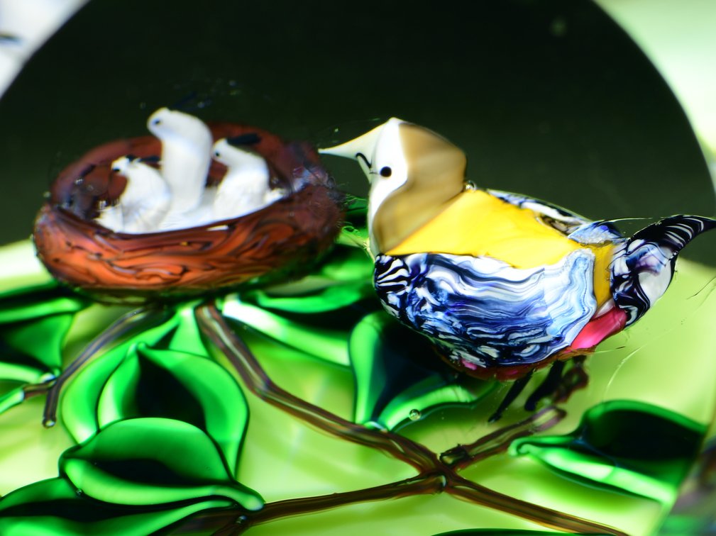 St. Louis Bird & Nest on Branch Motif 1995