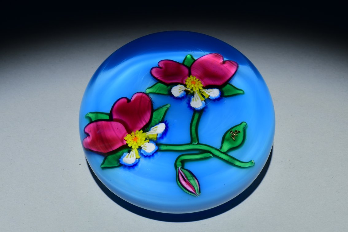Charles Kaziun Double Pansy Flowers