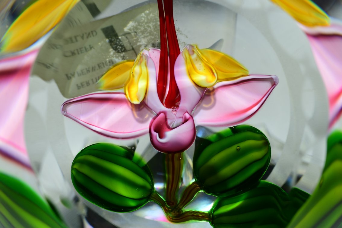 Perthshire Cacao Flower w/ Pods 1987