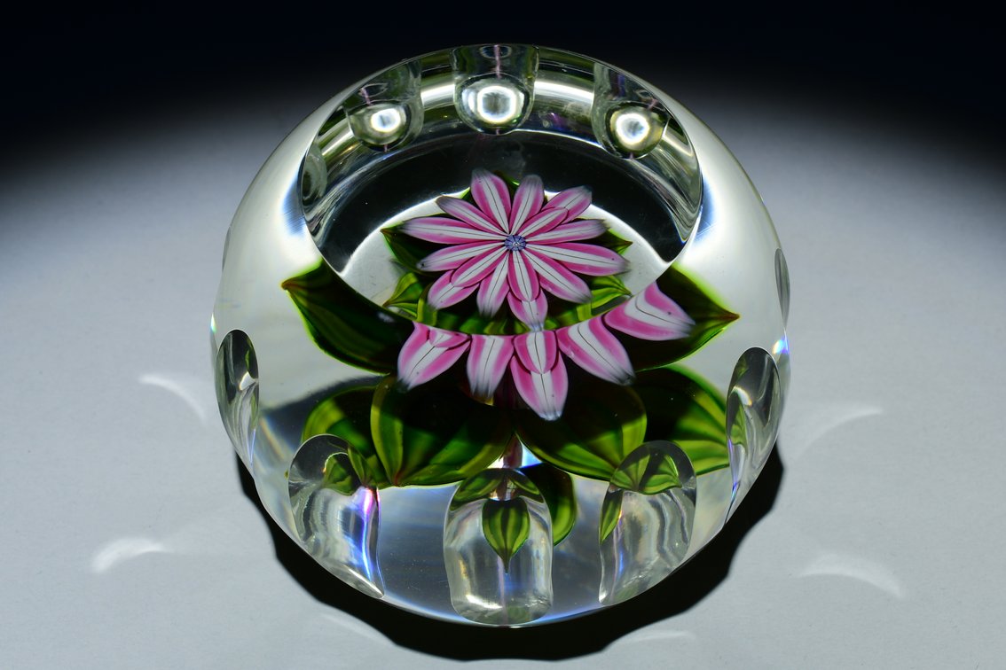Perthshire Faceted Dahlia Flower 1985