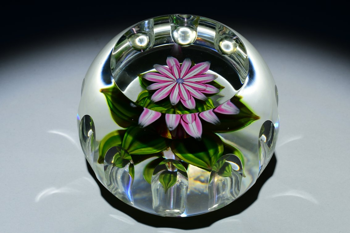 Perthshire Faceted Dahlia Flower 1985