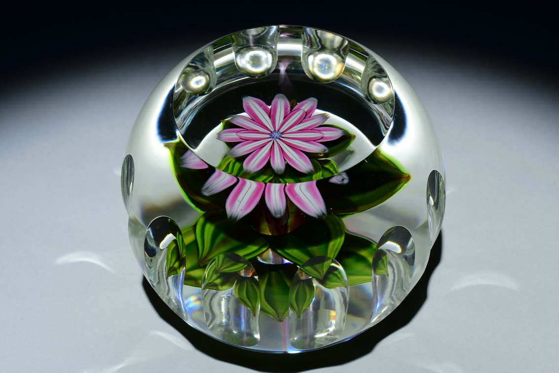 Perthshire Faceted Dahlia Flower 1985