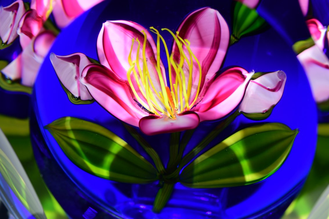 Perthshire Faceted Pink Flower Lampwork 1996