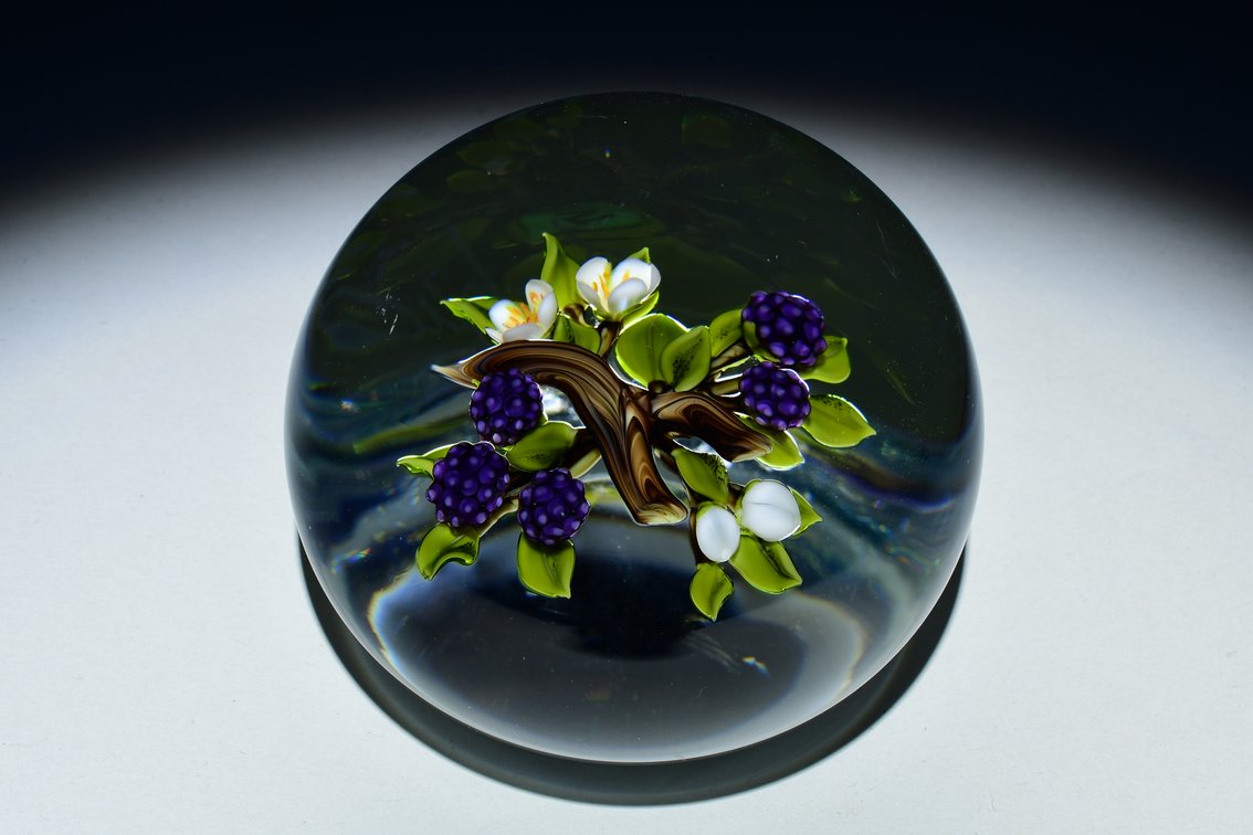 Trabucco Blackberry Branch Motif 1995