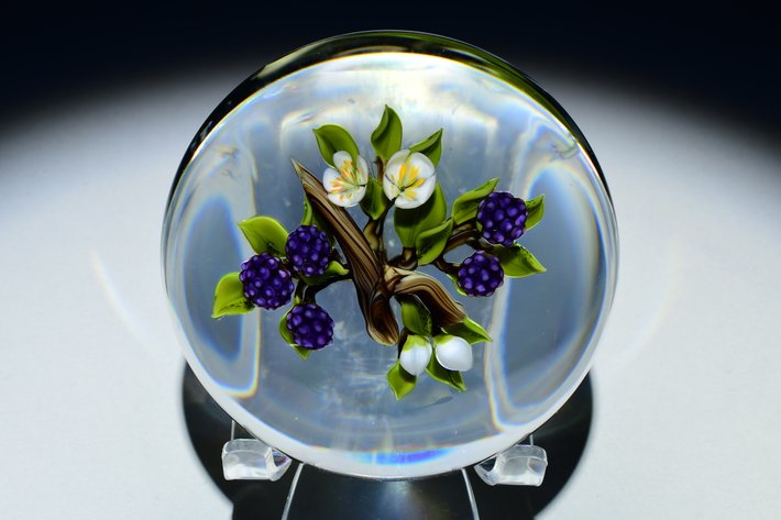 Trabucco Blackberry Branch Motif 1995