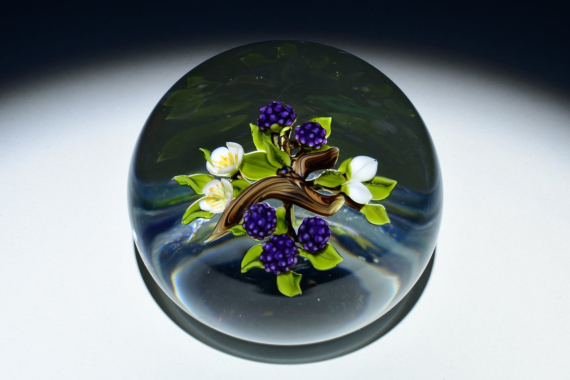 Trabucco Blackberry Branch Motif 1995