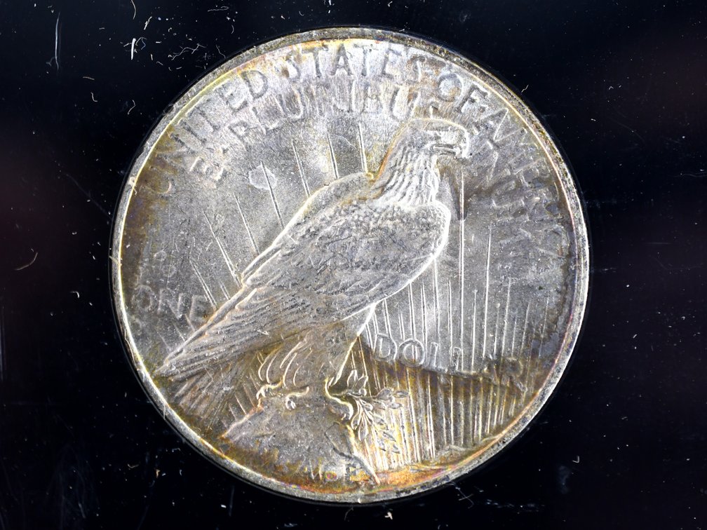 1923 United States Peace Silver Dollars, photo 6 of 10