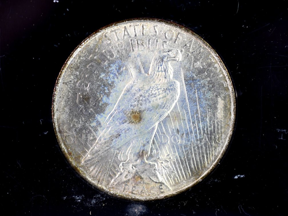 1923 United States Peace Silver Dollars, photo 8 of 10