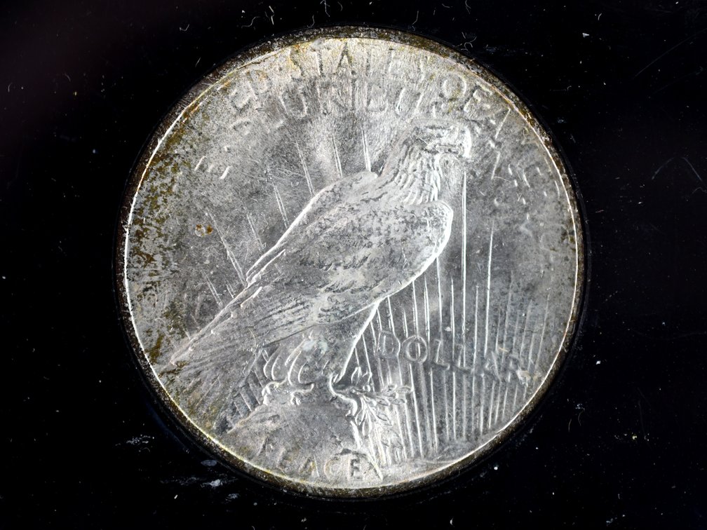 1923 United States Peace Silver Dollars, photo 4 of 10