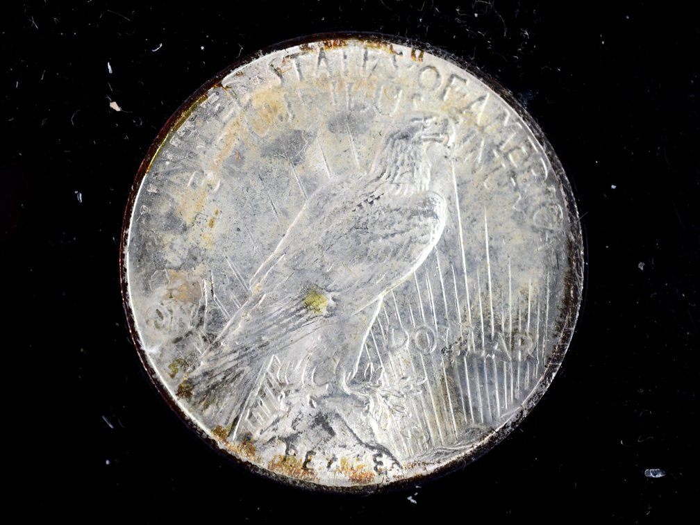 1923 United States Peace Silver Dollars, photo 10 of 10