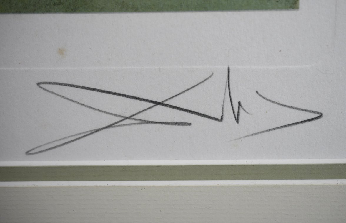 Salvador Dali Cosmic Madonna Lithograph, photo 6 of 9