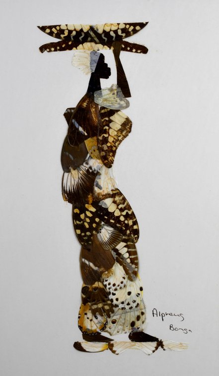 Alpheus Bonga Butterfly Wing Collages, photo 2 of 17