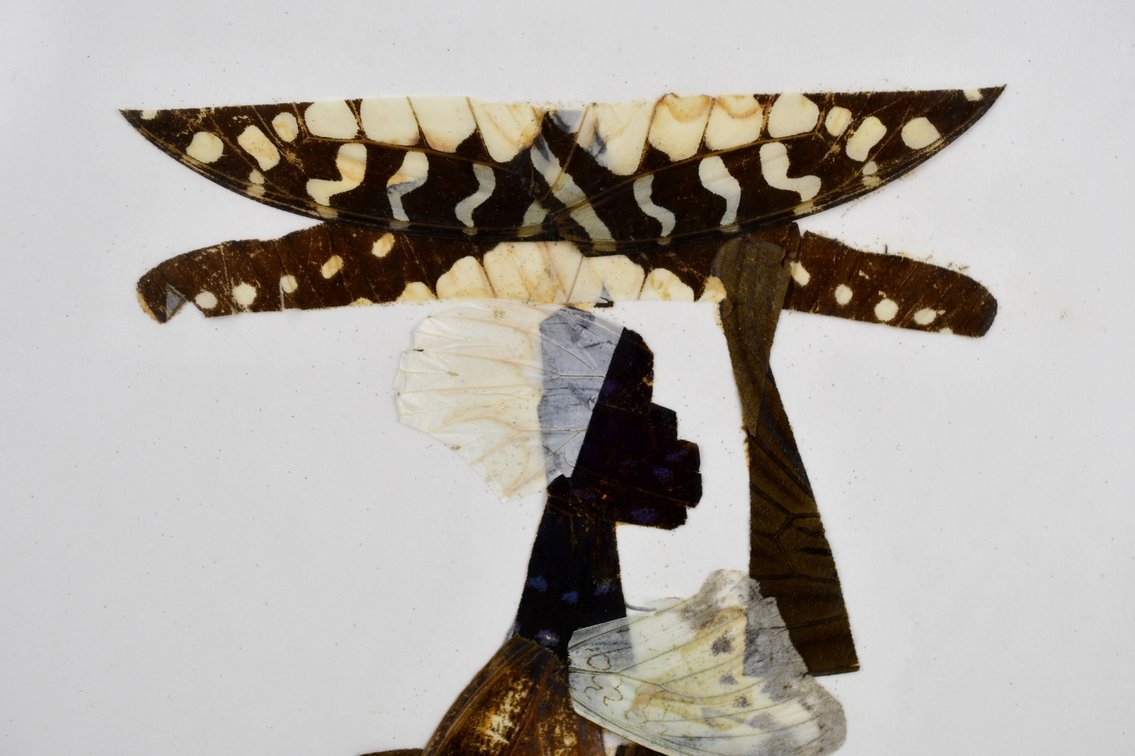 Alpheus Bonga Butterfly Wing Collages, photo 4 of 17