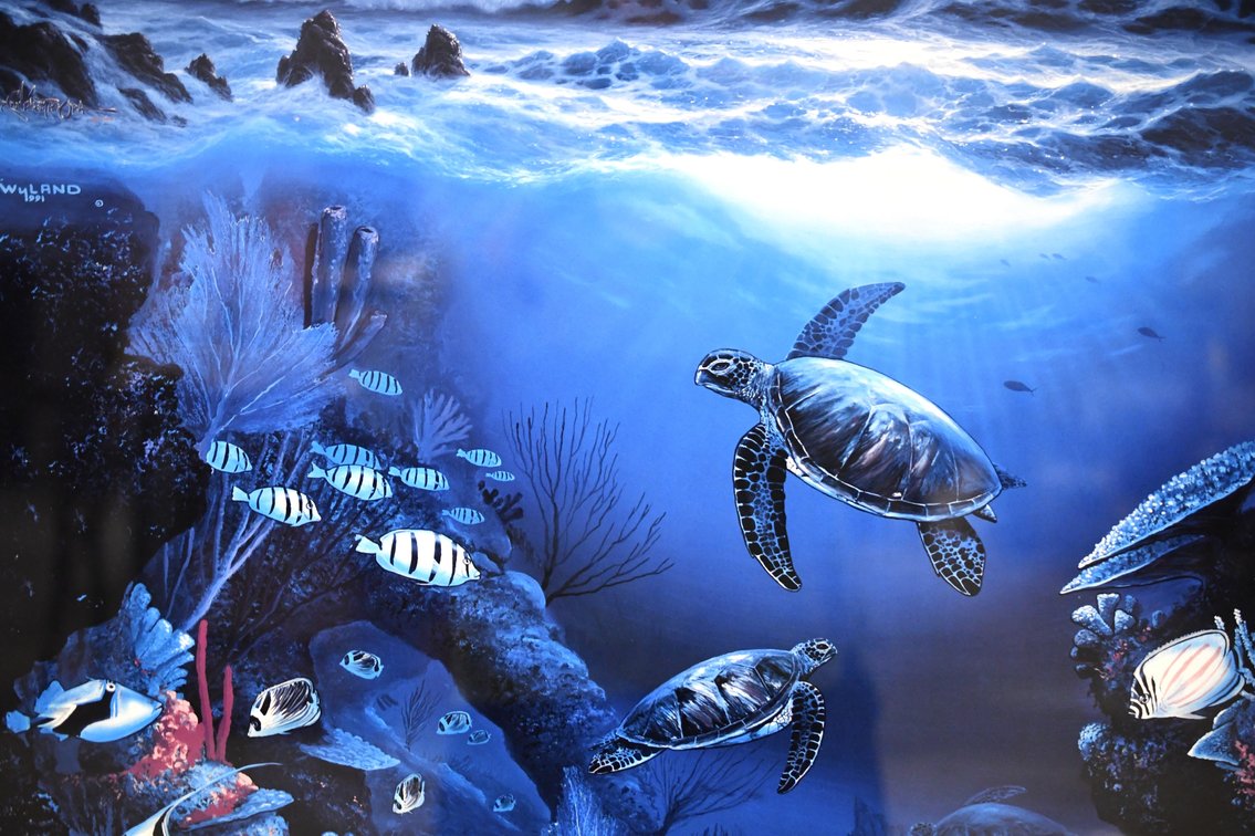 Robert Wyland And Roy Gonzalez Tabora “Above And Below”, photo 4 of 11