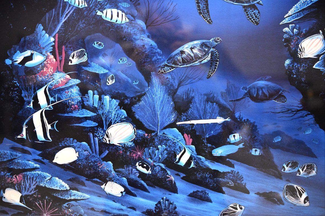 Robert Wyland And Roy Gonzalez Tabora “Above And Below”, photo 5 of 11