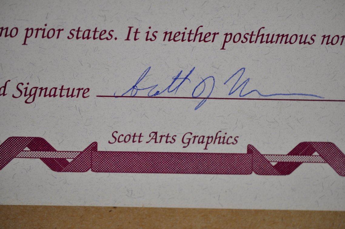 Jane Wooster Scott Carefree Days Print, photo 14 of 15
