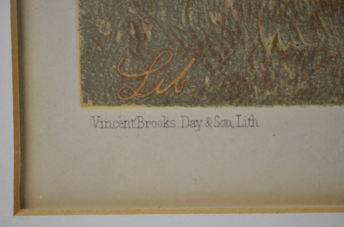 Liborio Prosperi - Tattersall's 1887, photo 9 of 12