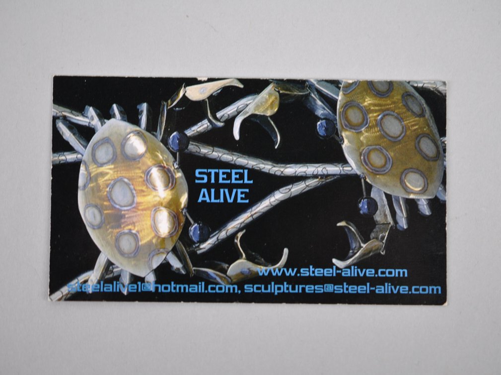 Ricaurte Steel Alive Goliath Grouper Sculpture, photo 24 of 25
