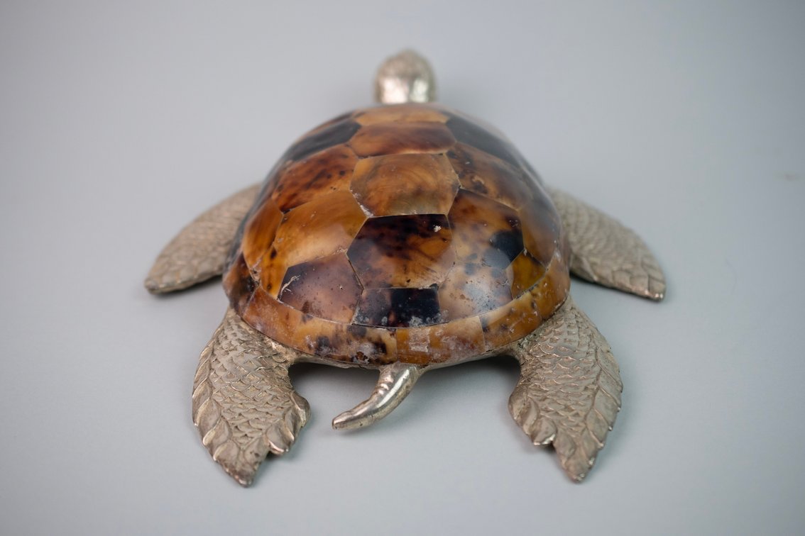 Maitland-Smith Penshell & Silver Tone Turtle, photo 7 of 13