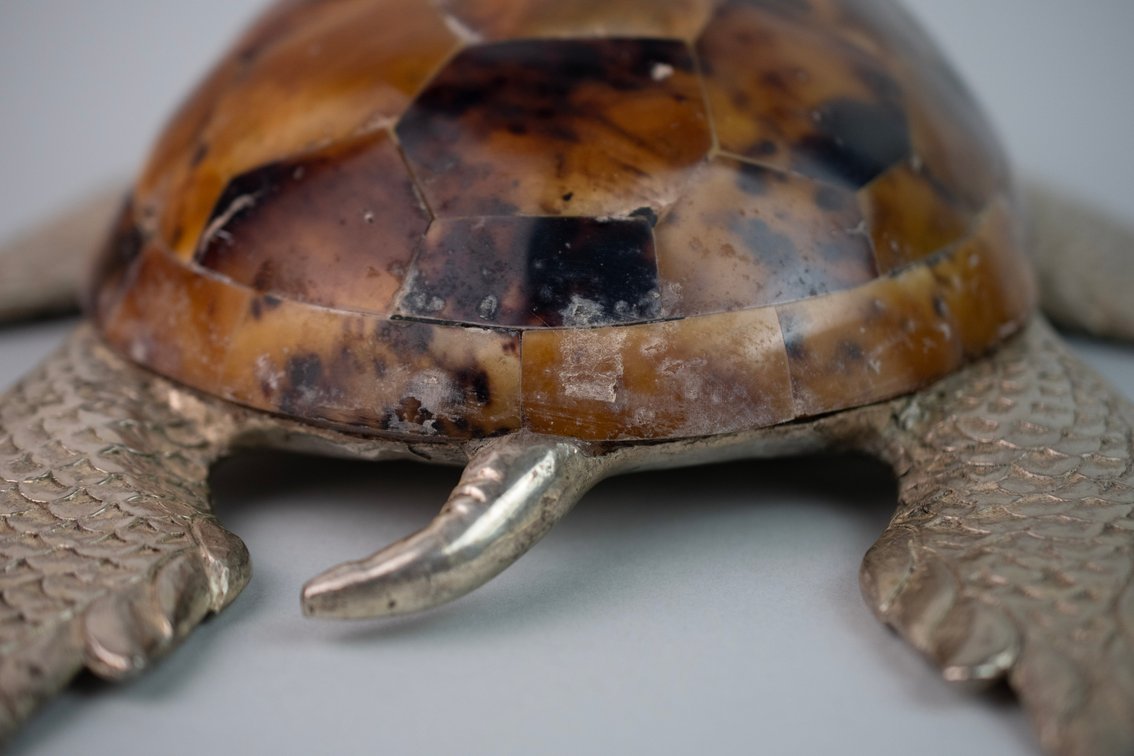 Maitland-Smith Penshell & Silver Tone Turtle, photo 8 of 13