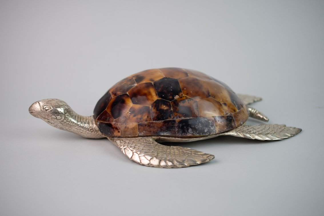 Maitland-Smith Penshell & Silver Tone Turtle, photo 3 of 13