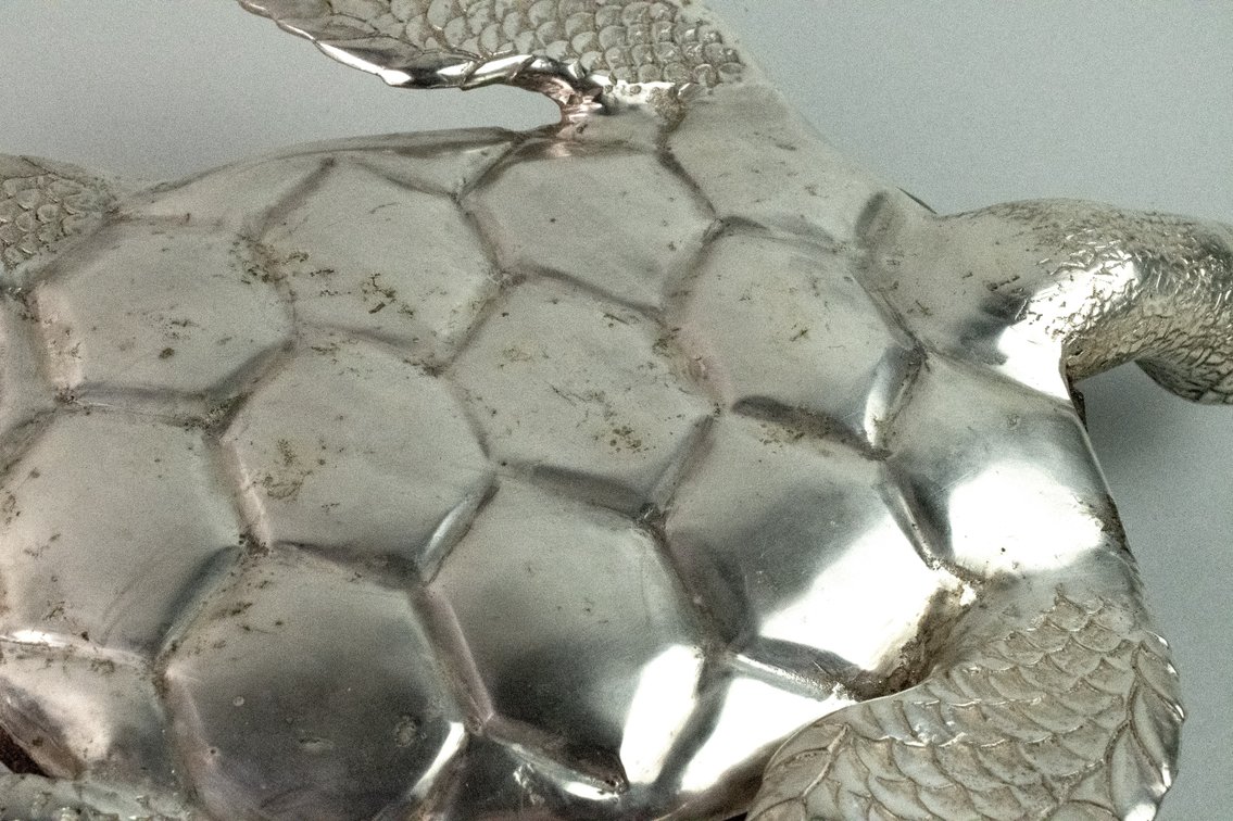 Maitland-Smith Penshell & Silver Tone Turtle, photo 13 of 13