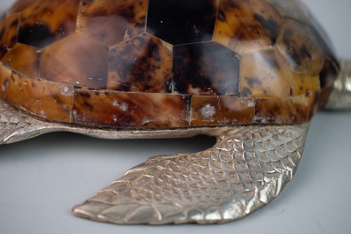 Maitland-Smith Penshell & Silver Tone Turtle, photo 10 of 13