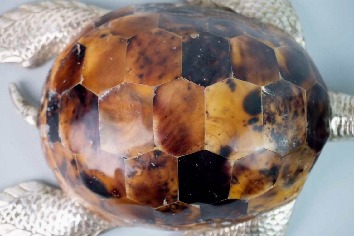 Maitland-Smith Penshell & Silver Tone Turtle, photo 2 of 13